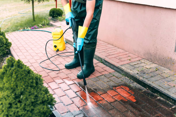 Best Animal Enclosure Cleaning  in Ridge Manor, FL