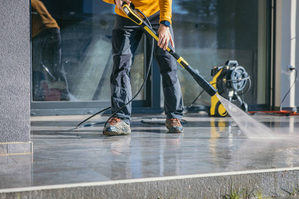 Best Gutter Cleaning  in Ridge Manor, FL
