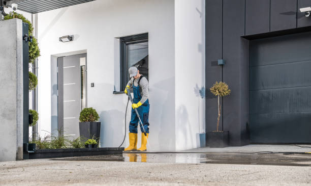 Solar Panel Cleaning in Ridge Manor, FL
